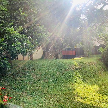 47 Alfred House - Free Pickup From Kandy City מראה חיצוני תמונה