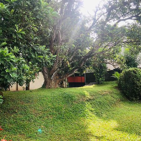 47 Alfred House - Free Pickup From Kandy City מראה חיצוני תמונה