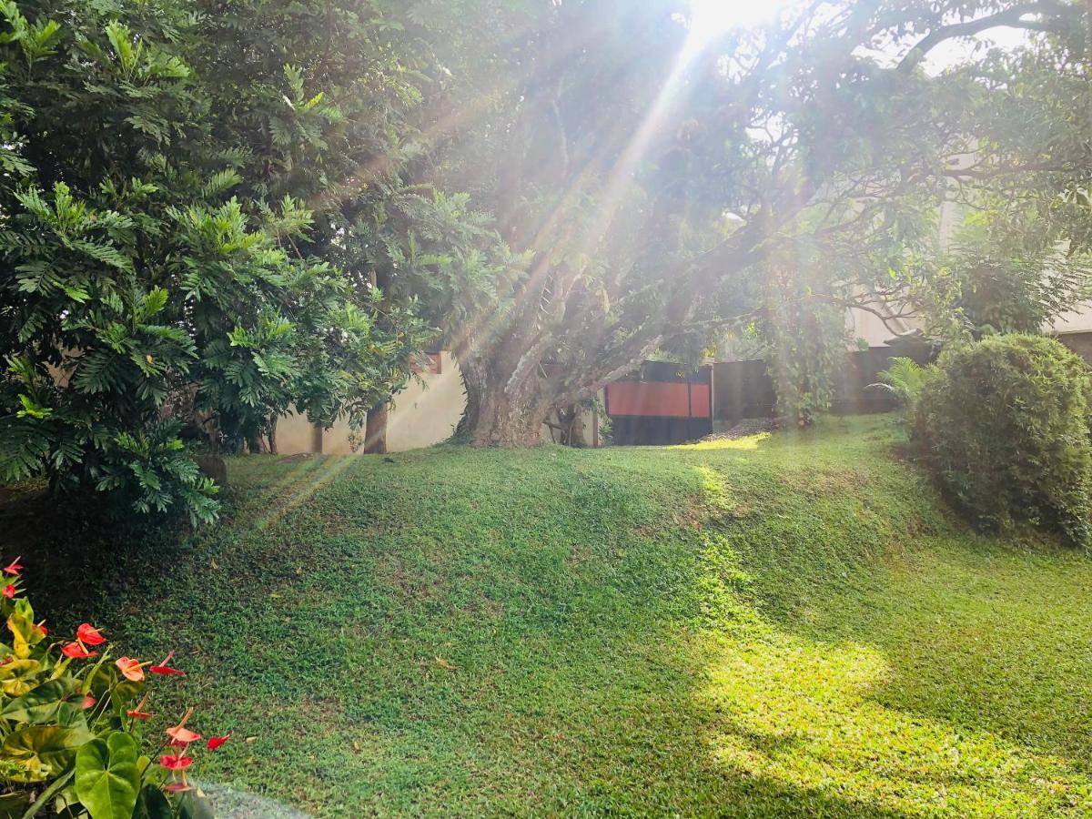 47 Alfred House - Free Pickup From Kandy City מראה חיצוני תמונה