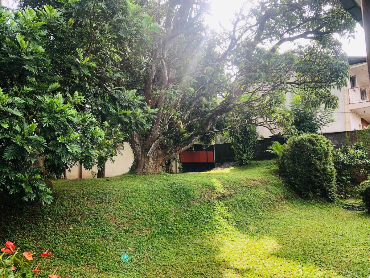 47 Alfred House - Free Pickup From Kandy City מראה חיצוני תמונה